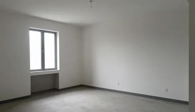 性能优化如何影响数据安全与适用条件