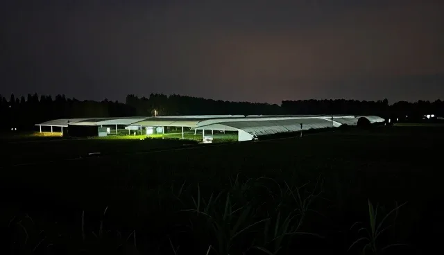 技术外包服务如何选择？适用情况是关键